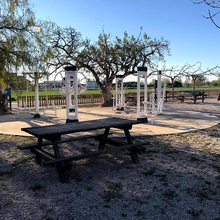 Appartamento Apartament Riba Riu Deltebre Esterno foto